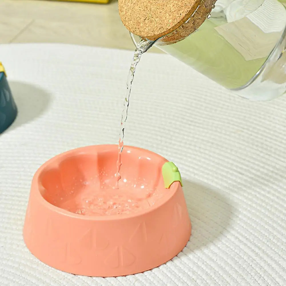Modern Pet Bowl Non-slip for Cats and Dogs
