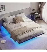 Floating Queen Size Metal Frame Platform Bed With LED Lights