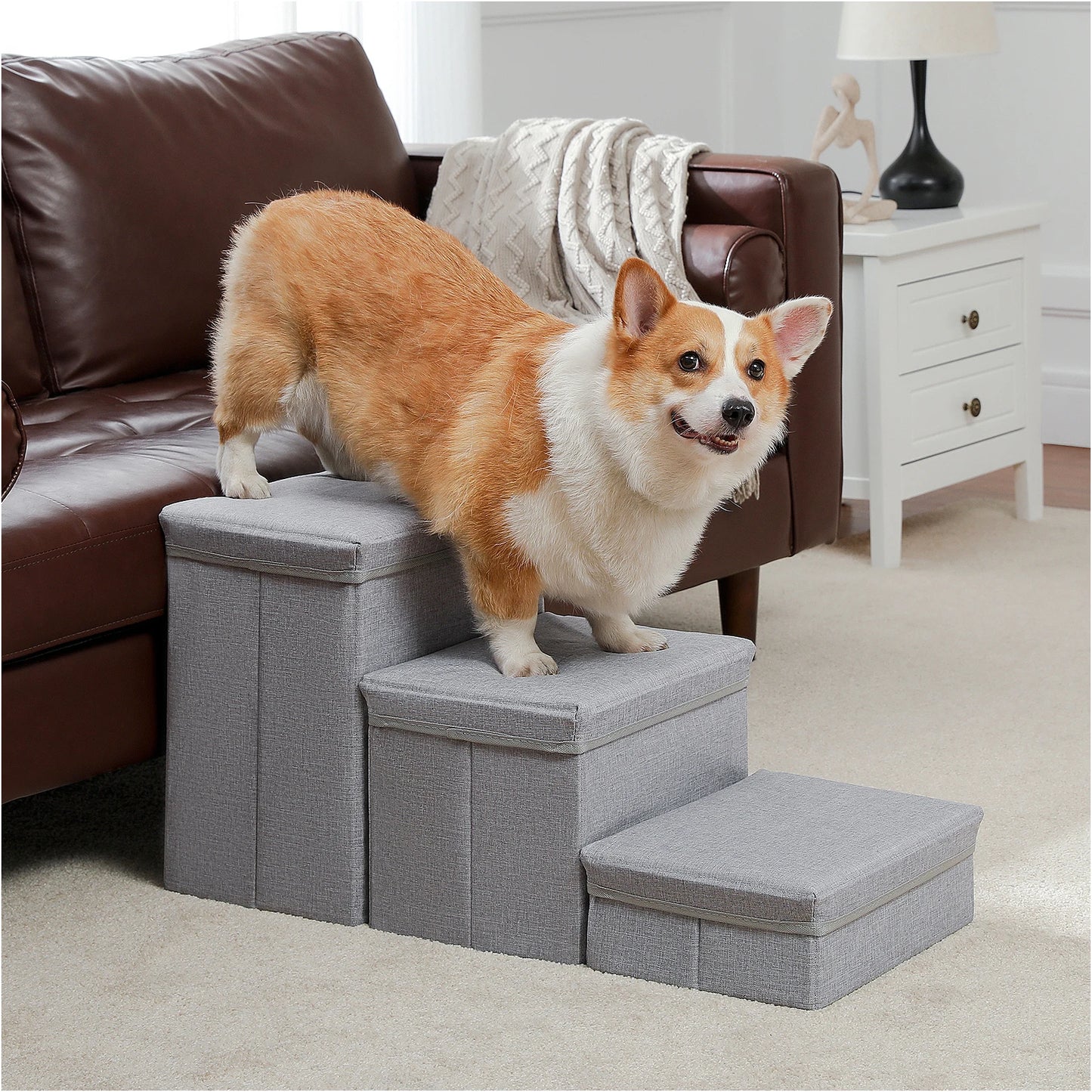 Portable 3 Stairs Dog Step for Small Dogs with Storage.