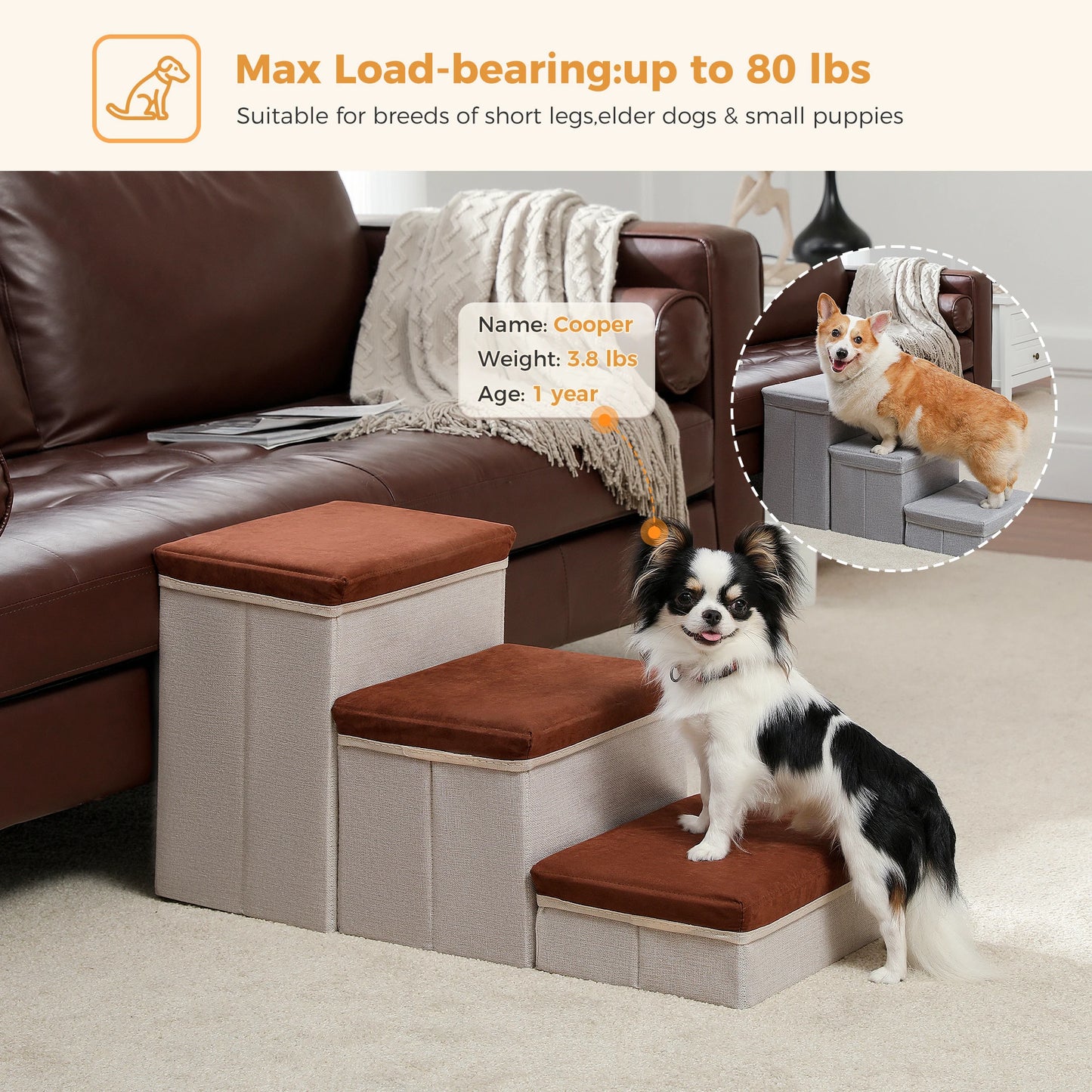 Portable 3 Stairs Dog Step for Small Dogs with Storage.