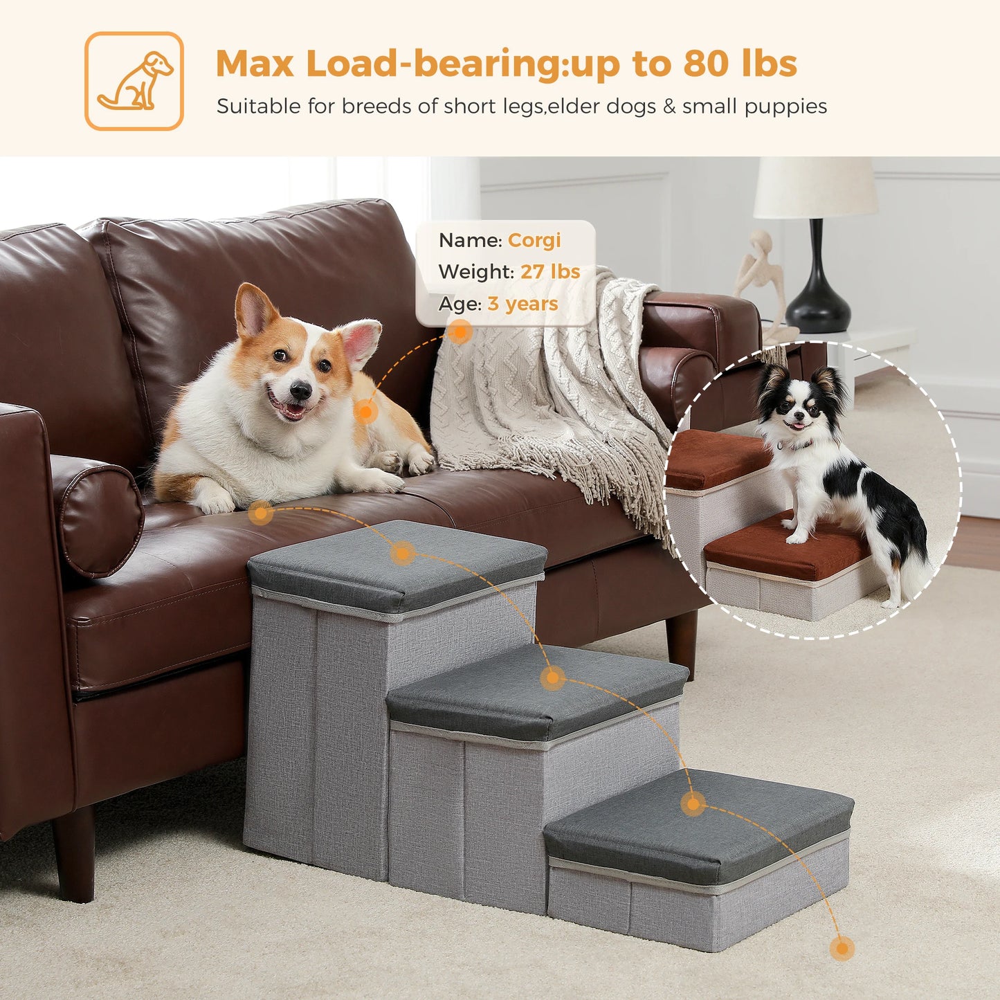 Portable 3 Stairs Dog Step for Small Dogs with Storage.