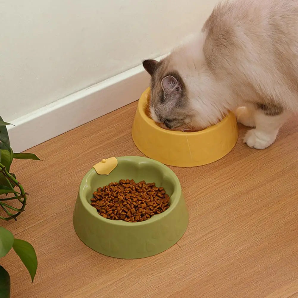 Modern Pet Bowl Non-slip for Cats and Dogs