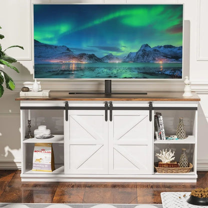 Modern TV Stand with Two Barn Doors and Storage Cabinets